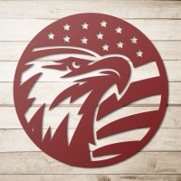 Eagle & American Flag Circle Art - Image 5