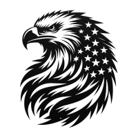 Patriotic Eagle & Stars Metal Art