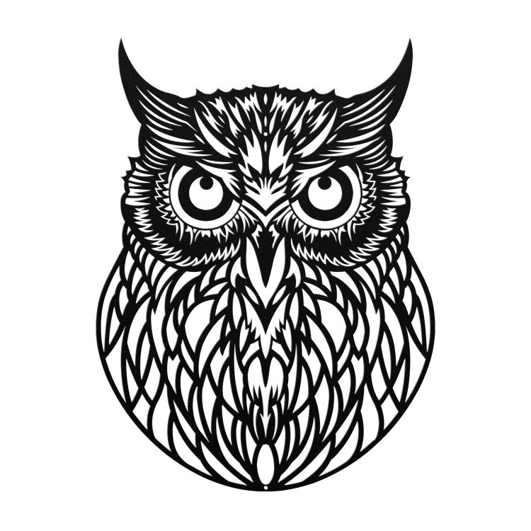 Wise Owl Steel Wall Art